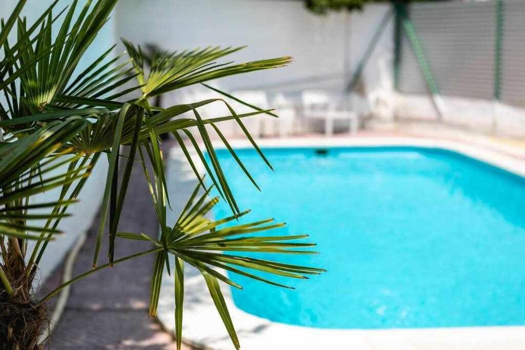 Newly Renovated Room W Pool & Bikeparking Жирона Экстерьер фото